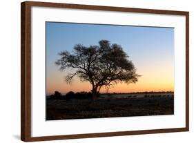 Sunset at the Waterhole at the Okaukeujo Rest Camp, Etosha National Park, Namibia-Grobler du Preez-Framed Photographic Print