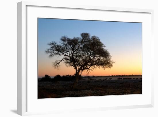 Sunset at the Waterhole at the Okaukeujo Rest Camp, Etosha National Park, Namibia-Grobler du Preez-Framed Photographic Print