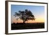 Sunset at the Waterhole at the Okaukeujo Rest Camp, Etosha National Park, Namibia-Grobler du Preez-Framed Photographic Print
