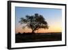 Sunset at the Waterhole at the Okaukeujo Rest Camp, Etosha National Park, Namibia-Grobler du Preez-Framed Photographic Print