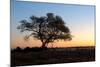 Sunset at the Waterhole at the Okaukeujo Rest Camp, Etosha National Park, Namibia-Grobler du Preez-Mounted Photographic Print