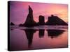 Sunset at the Wizard's Hat, Oregon, United States of America, North America-Jim Nix-Stretched Canvas