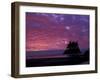 Sunset at Tounge Point, Olympic National Park, Washington, USA-null-Framed Photographic Print