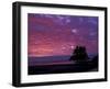 Sunset at Tounge Point, Olympic National Park, Washington, USA-null-Framed Photographic Print