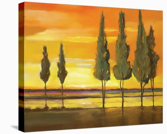 Sunset at Water's Edge-Judith D'Agostino-Stretched Canvas