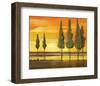 Sunset at Water's Edge-Judith D'Agostino-Framed Art Print