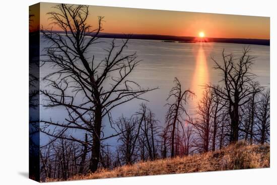 Sunset at Yellowstone Lake, Yellowstone National Park, Wyoming, USA-Tom Norring-Stretched Canvas