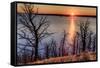 Sunset at Yellowstone Lake, Yellowstone National Park, Wyoming, USA-Tom Norring-Framed Stretched Canvas