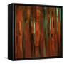 Sunset Bamboo I-Suzanne Wilkins-Framed Stretched Canvas