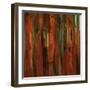 Sunset Bamboo I-Suzanne Wilkins-Framed Art Print