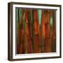 Sunset Bamboo II-Suzanne Wilkins-Framed Art Print