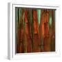 Sunset Bamboo II-Suzanne Wilkins-Framed Art Print