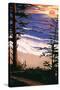 Sunset Beach and Surfers-Lantern Press-Stretched Canvas