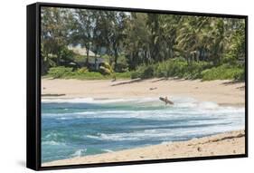 Sunset Beach, North Shore, Oahu, Hawaii-Michael DeFreitas-Framed Stretched Canvas