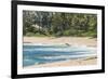 Sunset Beach, North Shore, Oahu, Hawaii-Michael DeFreitas-Framed Photographic Print