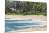 Sunset Beach, North Shore, Oahu, Hawaii-Michael DeFreitas-Mounted Photographic Print