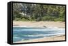 Sunset Beach, North Shore, Oahu, Hawaii-Michael DeFreitas-Framed Stretched Canvas