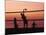 Sunset Beach Volleyball-Mitch Diamond-Mounted Photographic Print