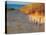 Sunset Beach-null-Stretched Canvas