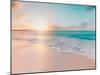 Sunset Beach-Renel Peters-Mounted Art Print