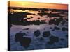 Sunset, Big Island of Hawaii, Kona Coast, Hawaii, USA-Charles Gurche-Stretched Canvas