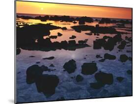 Sunset, Big Island of Hawaii, Kona Coast, Hawaii, USA-Charles Gurche-Mounted Premium Photographic Print