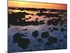 Sunset, Big Island of Hawaii, Kona Coast, Hawaii, USA-Charles Gurche-Mounted Photographic Print