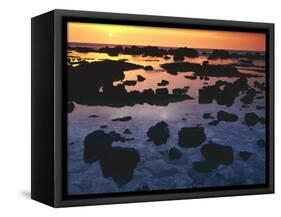 Sunset, Big Island of Hawaii, Kona Coast, Hawaii, USA-Charles Gurche-Framed Stretched Canvas