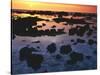Sunset, Big Island of Hawaii, Kona Coast, Hawaii, USA-Charles Gurche-Stretched Canvas
