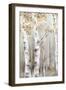 Sunset Birch Forest I-Eva Watts-Framed Art Print