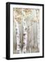 Sunset Birch Forest I-Eva Watts-Framed Art Print