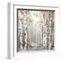 Sunset Birch Forest III-Eva Watts-Framed Art Print