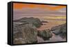Sunset, Bird Island, Point Lobos State Reserve, California, USA-Michel Hersen-Framed Stretched Canvas