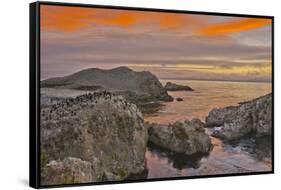 Sunset, Bird Island, Point Lobos State Reserve, California, USA-Michel Hersen-Framed Stretched Canvas