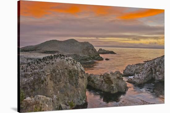 Sunset, Bird Island, Point Lobos State Reserve, California, USA-Michel Hersen-Stretched Canvas