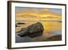 Sunset, Bird Island, Point Lobos State Reserve, California, USA-Michel Hersen-Framed Photographic Print