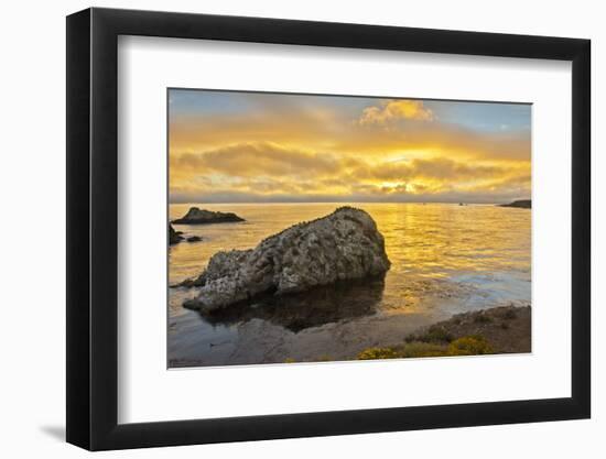 Sunset, Bird Island, Point Lobos State Reserve, California, USA-Michel Hersen-Framed Photographic Print