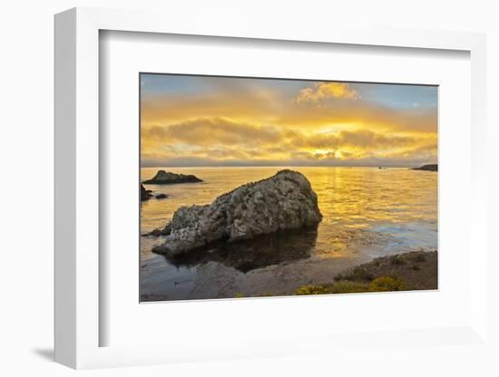 Sunset, Bird Island, Point Lobos State Reserve, California, USA-Michel Hersen-Framed Photographic Print