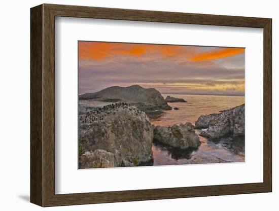 Sunset, Bird Island, Point Lobos State Reserve, California, USA-Michel Hersen-Framed Photographic Print