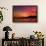 Sunset Birds-Ursula Abresch-Framed Photographic Print displayed on a wall