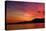 Sunset Birds-Ursula Abresch-Stretched Canvas