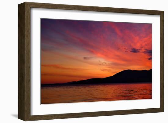 Sunset Birds-Ursula Abresch-Framed Photographic Print