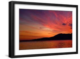 Sunset Birds-Ursula Abresch-Framed Photographic Print