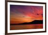 Sunset Birds-Ursula Abresch-Framed Photographic Print