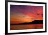 Sunset Birds-Ursula Abresch-Framed Photographic Print