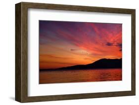 Sunset Birds-Ursula Abresch-Framed Photographic Print