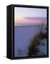 Sunset, Bradenton Beach, Anna Maria Island, Gulf Coast, Florida, USA-Fraser Hall-Framed Stretched Canvas