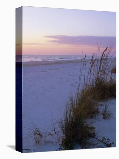 Sunset, Bradenton Beach, Anna Maria Island, Gulf Coast, Florida, USA-Fraser Hall-Stretched Canvas