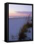 Sunset, Bradenton Beach, Anna Maria Island, Gulf Coast, Florida, USA-Fraser Hall-Framed Stretched Canvas