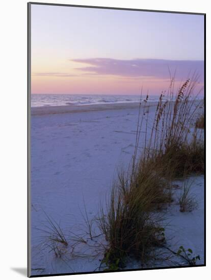 Sunset, Bradenton Beach, Anna Maria Island, Gulf Coast, Florida, USA-Fraser Hall-Mounted Photographic Print